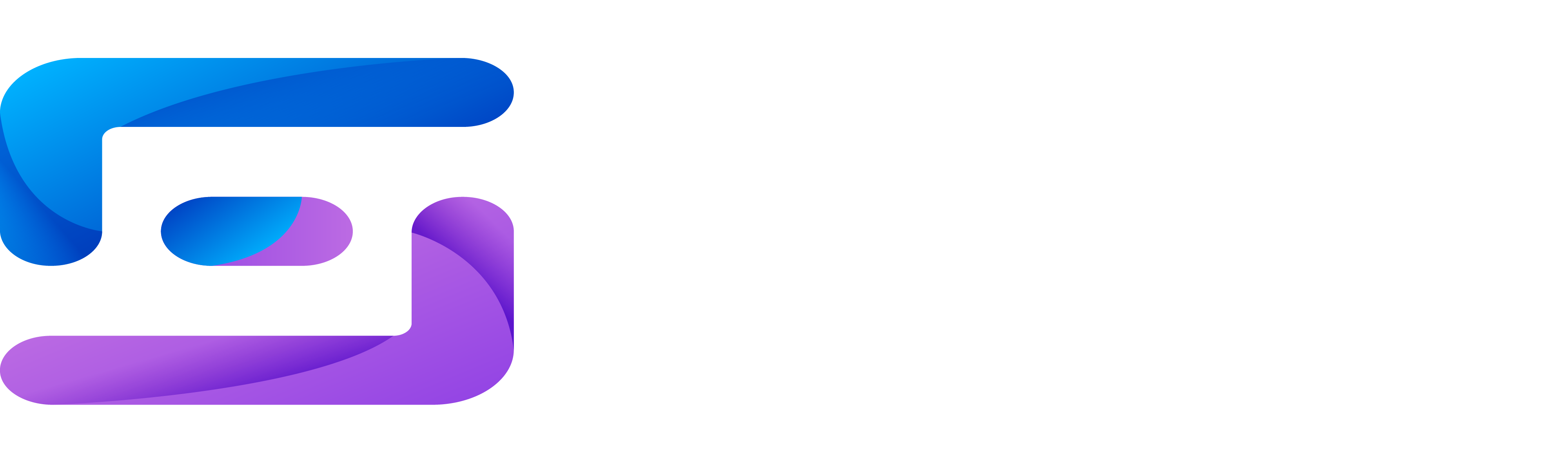 MAIN SMM White Logo